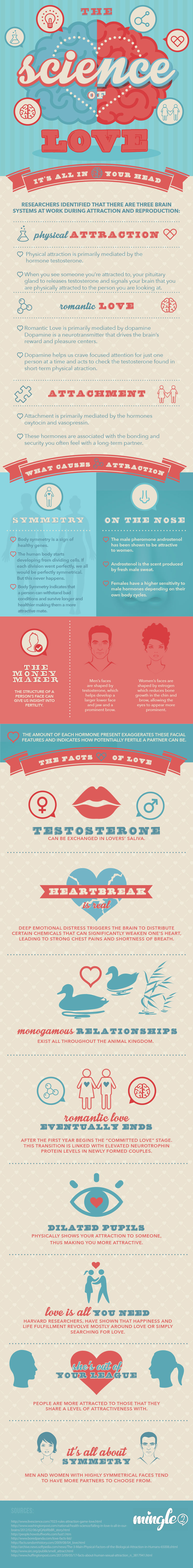 the science of love infographic 