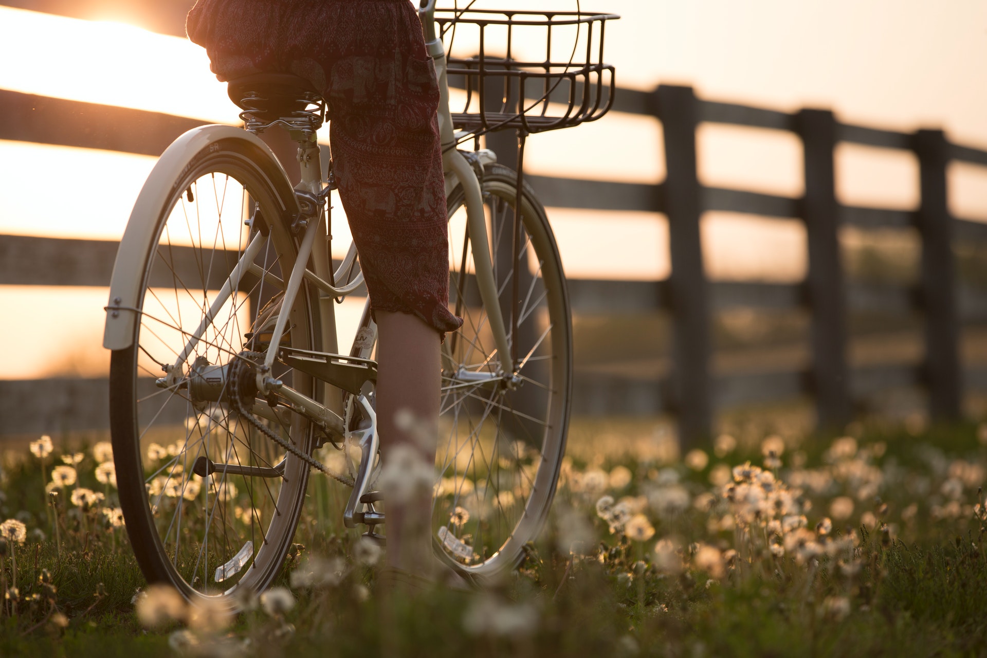 riding bicycle 